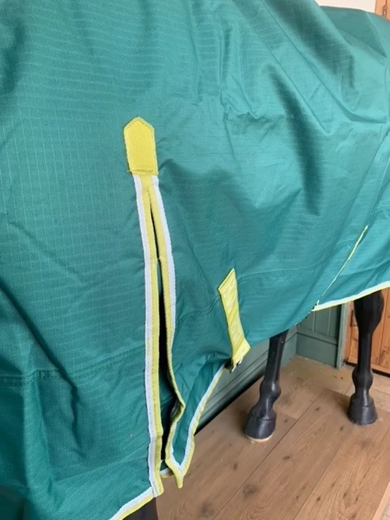 Bridleway Ontario 100g Turnout Rug in Green -3